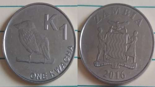 2016 - Zambia - One Kwacha - Zambian Barbet - Demonetised No -Nickel Plated Steel