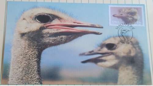 1985 -  SWA Ostrich Maximum Card - 14