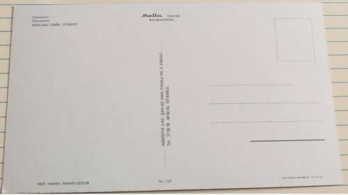 Vintage Unused Postcard - Turkey - Bergam Izmir