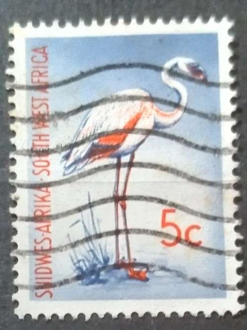1961 - 1965 - South West Africa/Suidwes Afrika - 5c - Pelican