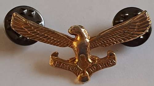 SA Airforce Tunic Badge with Lugs