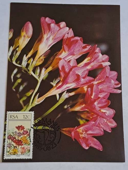 1985 -  South Africa -  SA Floral Emigrants -  Maximum Card