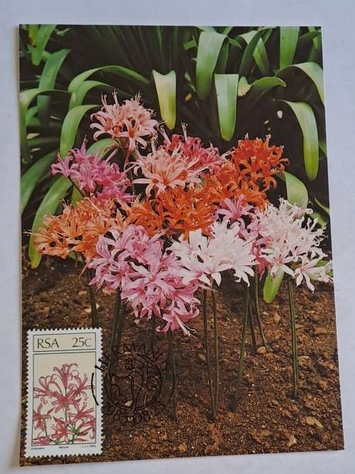 1985 -  South Africa -  SA Floral Emigrants -  Maximum Card