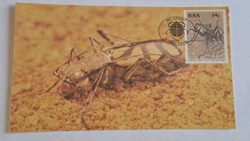 1987 -  South Africa -  Beetles-Kewers  -  Maximum Card