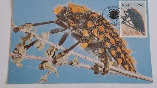 1987 -  South Africa -  Beetles-Kewers  -  Maximum Card