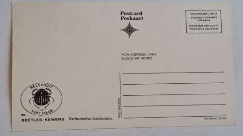 1987 -  South Africa -  Beetles-Kewers  -  Maximum Card