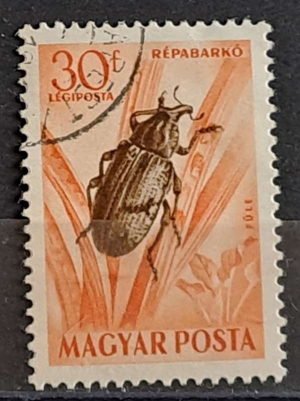 1954 - Hungary -  WM - 30 - Airmail - Insects