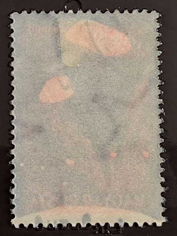 1954 - Hungary -  WM - 30 - Airmail - Insects
