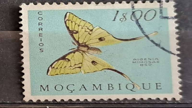 1953 - Mozambique - 1S00 - Butterflies and Moths