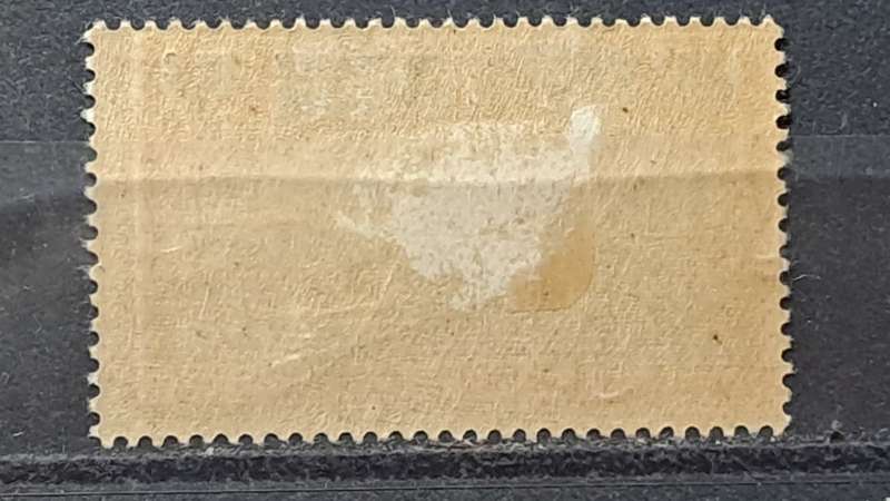 1924 - Togo -  Unused - 5 - Palm Trees