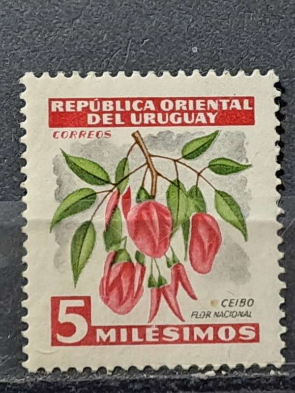 1954 - Uruguay -  Unused - 5 - Erythrina cristagalli