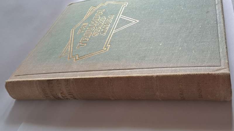 `The Triumph Stamp Album` -  empty (no stamps) - +/- 23cm x 19cm