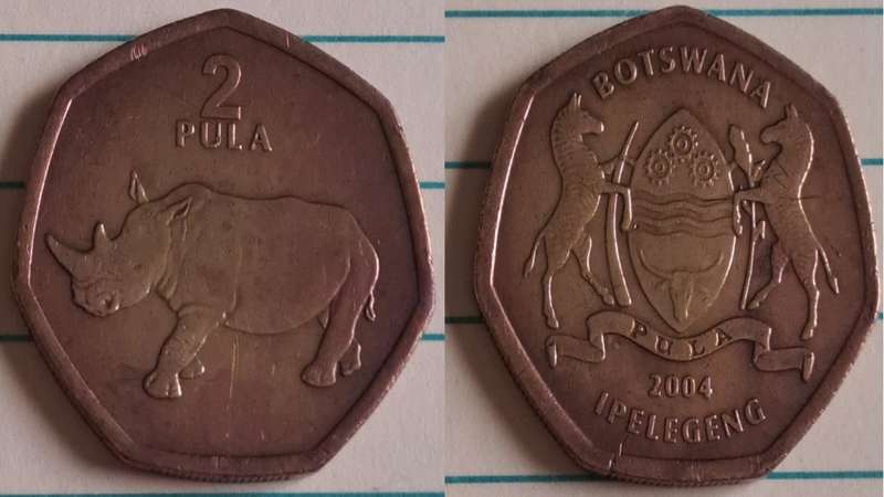 2004 - Botswana - 2 - White rhinoceros - Demonetised Jul 2014 - Brass plated steel