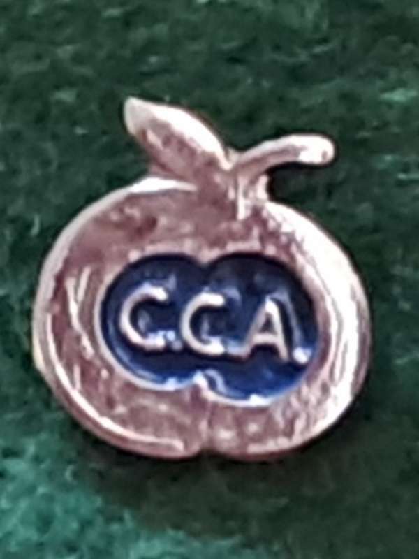Pin:  `C.C.A `  - Vereniging City Centrum Arnhem - Arnhem  -  Blue