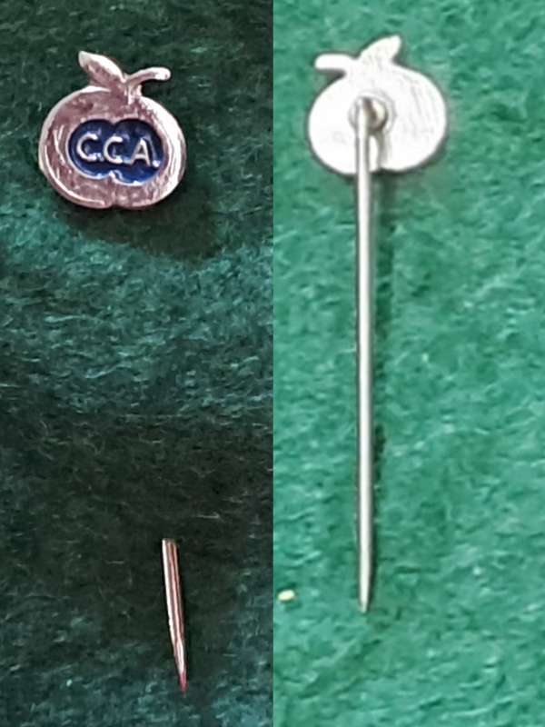 Pin:  `C.C.A `  - Vereniging City Centrum Arnhem - Arnhem  -  Blue