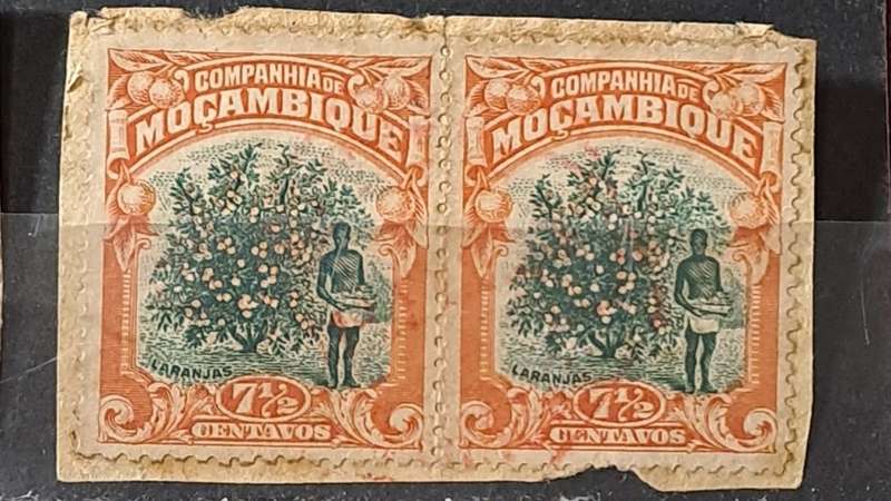 1918 - 1925 - Mozambique (Companhia de) - 7½ -  Pair - Laranjas