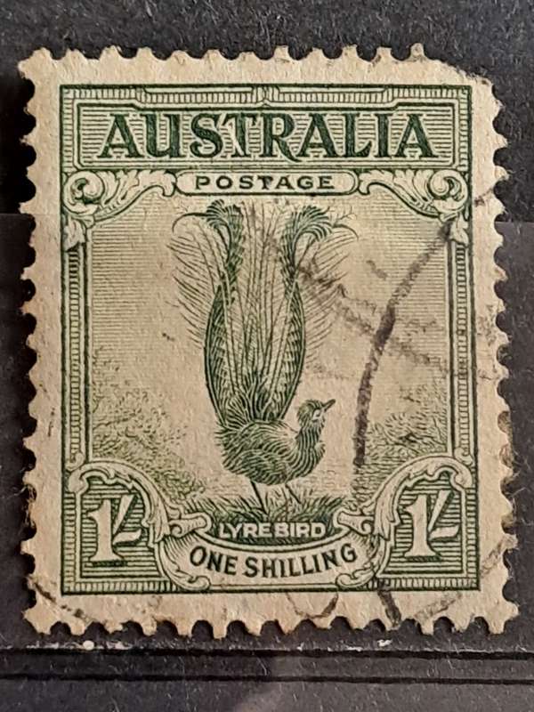 1932 - Australia - 1 Shilling - Lyre Bird
