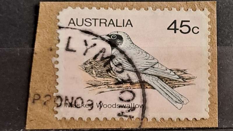 1980 - Australia - 45 - Masked Wood swallow