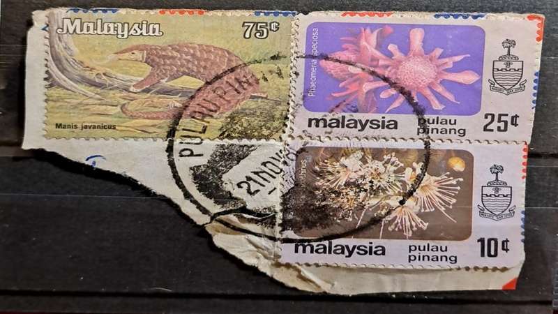 1979-1985/1979 - Malaysia - Postmark Pulau Pinang - 75c + 25c + 10c - Manis javanicus/Phaeomeria spe
