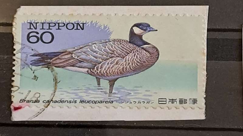 1983 - Nippon (Japan) - 60 - Endangered Birds - Canada Goose