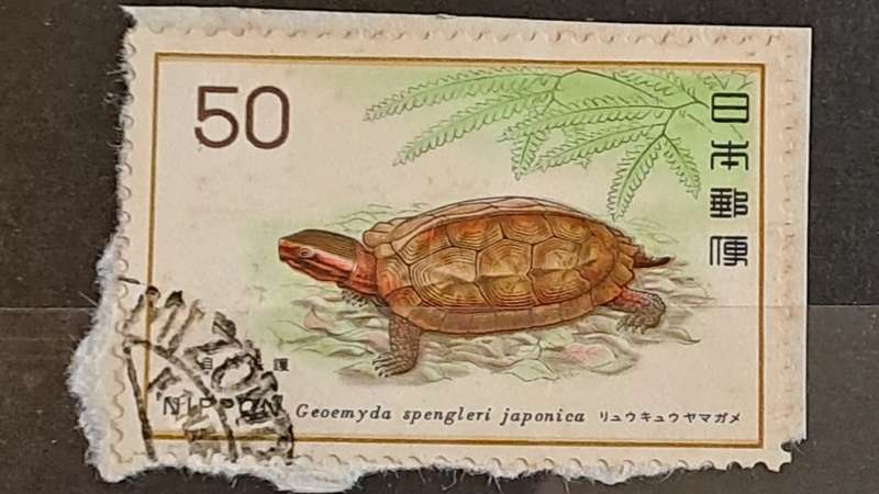 1976 - Nippon (Japan) - 50 - Nature Conservation - Black-Breasted Leaf Turtle