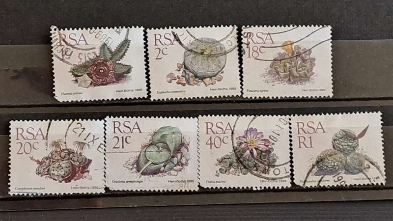 South Africa : Succulents  : Lot of 7