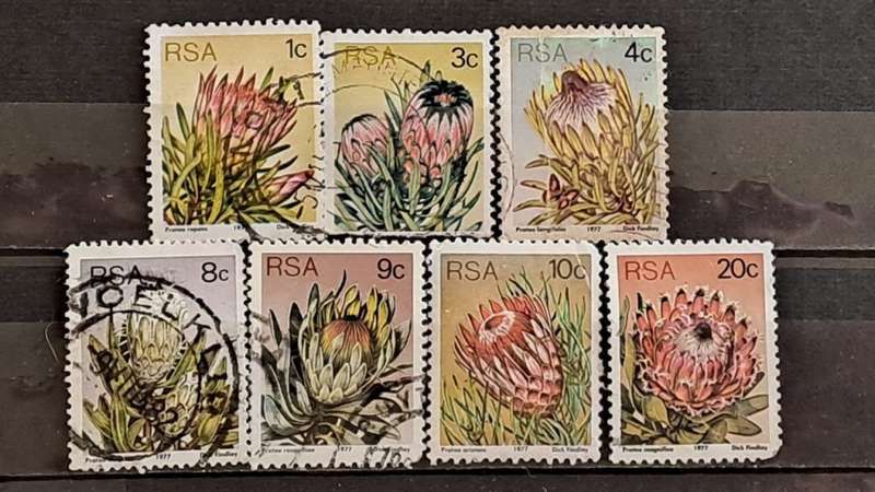 South Africa : Proteas  : Lot of 7