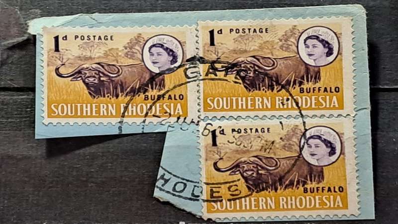 1964 - Southern Rhodesia -  Postmark Gatooma - Trio - 1P - Buffalo