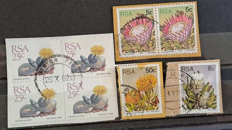 1977-1988 - South Africa - Pair 5 + 50 + 8 + 4 Piece 25  - Protea +  Succulent