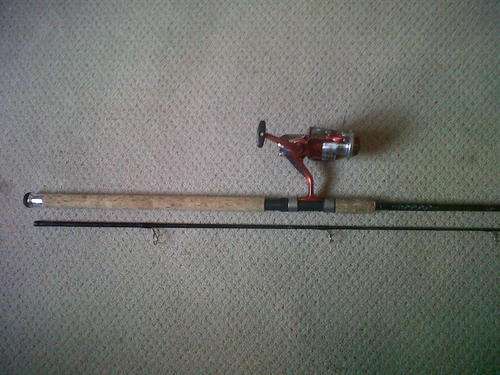 Daiwa spinning rod and reel