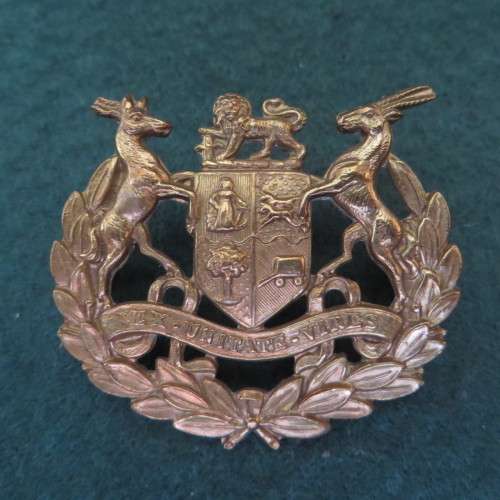 Ex Unitate Vires Badge ** 37mm x 42mm**