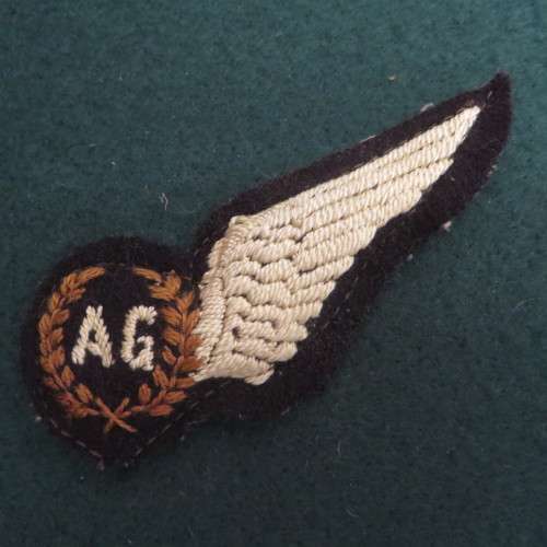 Aerial Gunner Padded Wings ** Nice for your Collection