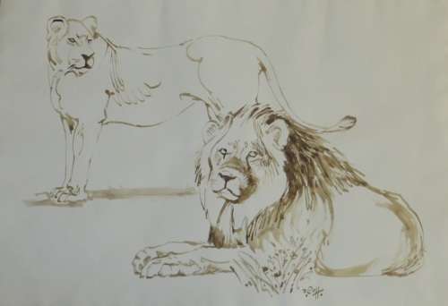 Zakkie Eloff Original Water Color Painting of Lions **39cm x 57cm ** Unframed Piece** Value R5500++