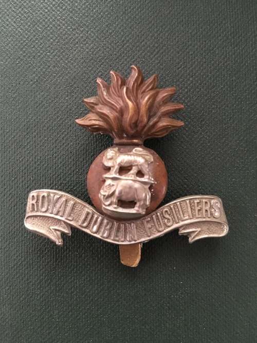 Royal Dublin Fusiliers Bi-Metal Cap badge** 47mm x 40mm