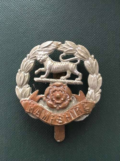 Hampshire Bi Metal Cap Badge ** 40mm