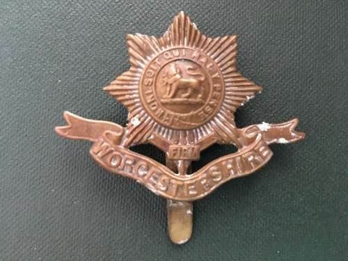 Worcestershire Cap badge ** 52mm x 40mm**