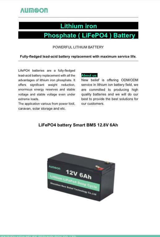 Aumoon 12V-6A LiFePo4 Battery with Smart BMS