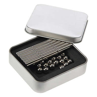 Silver Magnet Balls and Sticks with Case