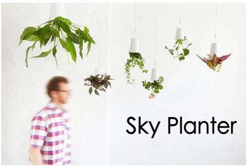 Sky Planters upside down plant holder hangs from ceiling novelty