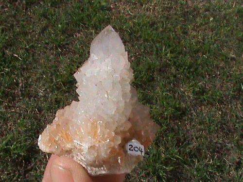 LARGE CACTUS CRYSTAL QUARTZ PLATE.BOEKENHOTSKLOOF,MAGALIESBURG