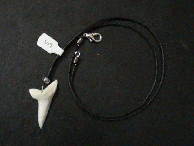 SHARK TEETH NECKLACE