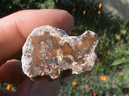 PETRIFIED WOOD... +- 120 MILLION YEARS OLD...!!