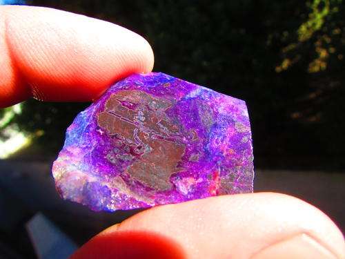 SUGILITE SLICE.  CUTTING MATERIAL. A GRADE.  VERY RARE
