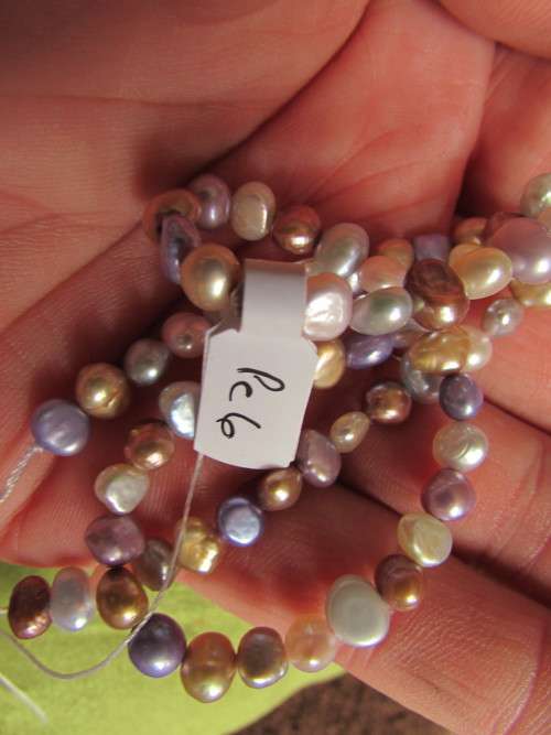 MULTI COLOR FRESHWATER PEARLS.  5.5 MM .   40 CM LONG STRING.
