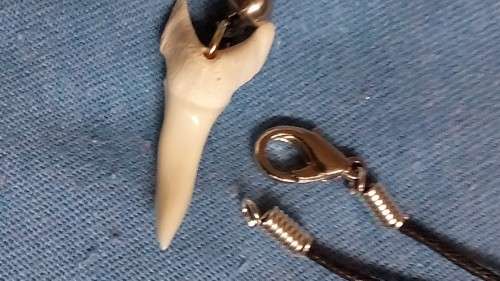 GENUINE MAKO SHARKS TOOTH NECKLACE.  60 CM LONG