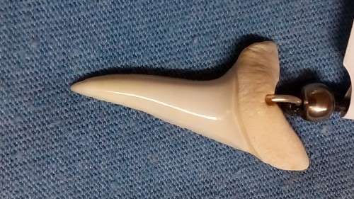 LARGE MAKO SHARKS TOOTH NECKLACE