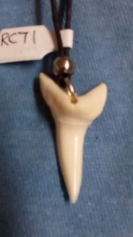 LARGE MAKO SHARKS TOOTH PENDANT