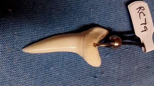 LARGE MAKO SHARKS TOOTH NECKLACE