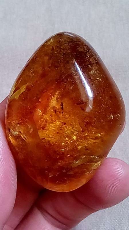 POLISHED COPAL AMBER FROM MADAGASCAR WITH   INSECT INCLUSIONS