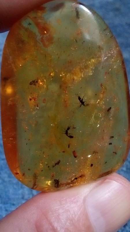 FOSSIL COPAL AMBER WITH INSECT INCLUSIONS
